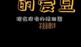 娱乐吃瓜频道有哪些名字,盘点那些让人欲罢不能的频道名称