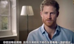 王子夫妻爆料视频,揭秘娱乐圈背后的惊人真相