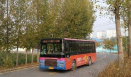 新乡公交车爆料视频曝光,新乡公交车爆料视频揭露惊人内幕